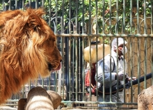 الحكومة: حديقة الحيوانات تستقبل 50% فقط من طاقتها الاستيعابية