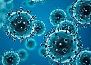 ما الفيروس الكبير الذي حذر العلماء من انتشاره؟.. أخطر من كورونا