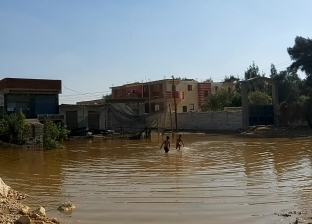 فيديو.. أطفال يحولون بركة مياه للأمطار إلى حمام سباحة في بني سويف