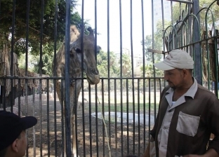 حديقة الحيوان بالإسكندرية تستقبل 4 آلاف زائر أول أيام العيد