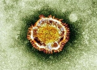 أول دولة تتحرك عمليا ضد «فيروس نيباه»: الخطر قادم من الصين بعد كورونا