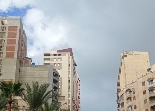 حقيقة ظهور أدخنة بركان لا بالما في الإسكندرية.. «الوزراء» يوضح (فيديو)