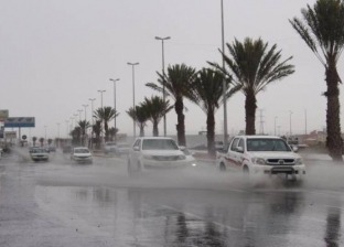 الطقس السيئ يضرب السعودية: أمطار رعدية واحتمال سقوط ثلوج