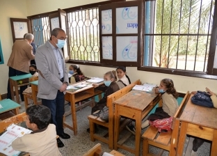 محافظ الإسماعيلية يطلب تركيب «سلك» على مدرسة لمنع انتشار الذباب