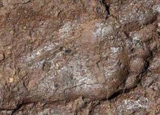 اكتشاف أثر جديد في تركيا عمره 3000 عام يعود لمراهق من مملكة أورارتو