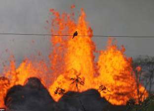 بالفيديو| غضب الطبيعة في أشرس صوره.. بركان "كيلاوي" يلتهم المنازل