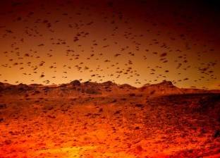 "ناسا" تستكشف المريخ بسرب من النحل
