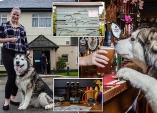 مركز لرعاية الحيوانات ببريطانيا يحصد لقب أفضل حانة للكلاب على مستوى العالم
