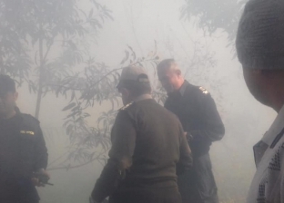 السيطرة على حريق اندلع بمزرعة مانجو ورمان في أسيوط
