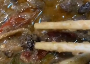 بالفيديو| 40 "صرصار" في وجبة بط.. هدية مطعم لسيدة في الصين