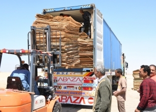 بدء تصدير أول شحنة ألواح خشب «الكونتر» ومشتقاته من قنا لدولة الصين