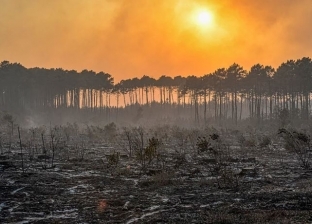 حرائق الغابات تتراجع في أوروبا مع انخفاض درجات الحرارة