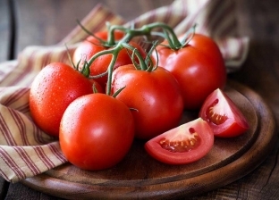 أسعار الطماطم اليوم الأحد 15-5-2022 في الأسواق المصرية