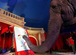 سيرك مجري متجول يبيع لوحات رسمتها أنثى فيل هندية