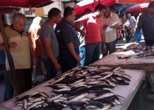 رئيس شعبة الأسماك بتجارية دمياط: انخفاض الأسعار بنسبة تصل لـ35%