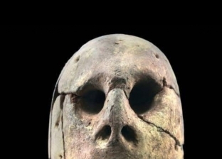 المتحف المصري يعلن عرض أقدم رأس في تاريخ الحضارة المصرية القديمة