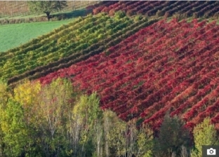 ألوانها أحمر.. "حنفيات المياه" تثير ذعر سكان قرية إيطالية