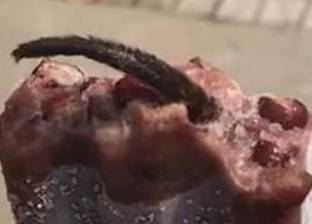 بالفيديو| فتاة تعثر على فأر مجمد داخل "آيس كريم"