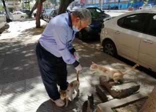 عجوز ستيني يجوب الشوارع لإطعام القطط: "أرواح ومش لاقيه أكل"