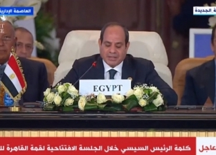 خبير سياسي: القيادة المصرية تتحرك بسرعة لحل أزمة قطاع غزة