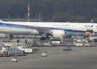 طوارئ في مطار اليابان بسبب «سلحفاة».. وتأخر إقلاع 5 رحلات