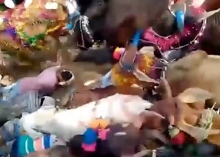 بالفيديو| الأبقار تمتطي ظهور المصلين.. "يحدث في الهند"