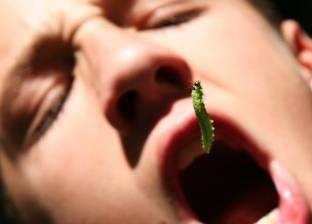 انتبه.. أنت تأكل 907 جرامات من الحشرات كل عام