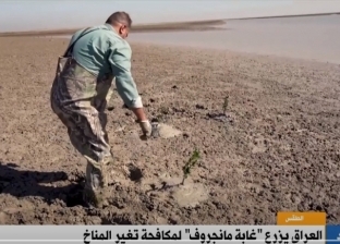«القاهرة الإخبارية»: العراق يزرع غابة مانجروف لمكافحة تغير المناخ