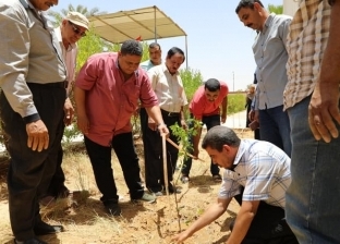 غرس 3000 شتلة بالوادي الجديد ضمن مبادرة زراعة مليون شجرة مثمرة في مصر