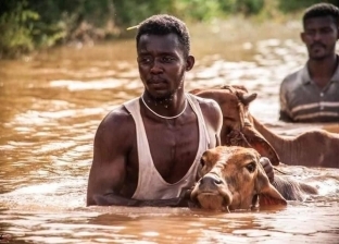 حصيلة جديدة لخسائر فيضانات السودان "مقتل 114 وانهيار 33 ألف منزل"