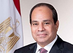 مصر والأردن يتفقان على تبادل الخبرات والدراسات لمواجهة كورونا