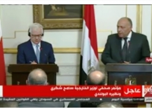 "الخارجية البولندية": مصر تلعب دورا مهما في تحقيق السلم بالشرق الأوسط