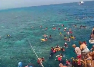 رئيس "الإنقاذ البحري": يجب التصدي للمعتدين على الشعاب المرجانية