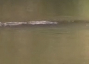فيديو.. "وحش غامض" يظهر داخل بحيرة في الصين: طوله 3 أمتار