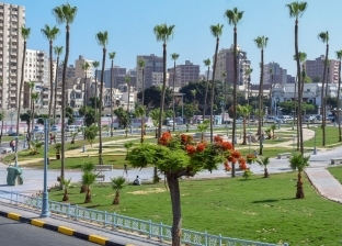 زراعة ألف شجرة نادرة بالإسكندرية قبيل انطلاق أمم أفريقيا