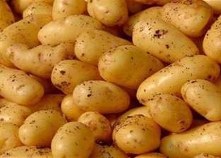 الزراعة: انخفاض أسعار البطاطس فرصة جيدة لتنمية التسويق المحلي