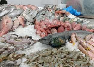 6 أنواع من الأسماك بديلة للحوم الحمراء لمرضى النقرس.. أبرزها «البلطي»
