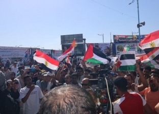 الآلاف يشاركون بمظاهرات اليوم لدعم فلسطين في السويس.. القدس عربية