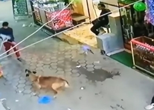 شخص يروع مواطنين باستخدام كلبه.. يقف متفرجا وساخرا (فيديو)