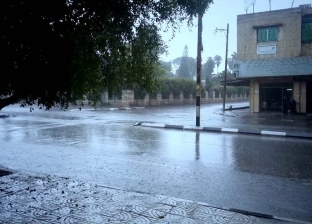 بعد 37 يوما من القصف.. أمطار غزيرة على قطاع غزة تروي ظمأ الأهالي (فيديو)