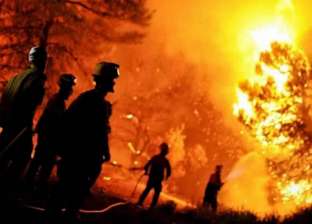 حرائق الغابات في الجزائر 2021.. وفاة 25 عسكريا من أفراد الجيش