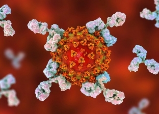 باحثون يعثرون على سلالة أكثر عدوى من فيروس كورونا المستجد