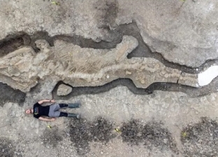 باحثون يعثرون على حفرية حيوان مفترس.. عاش قبل 180 مليون سنة