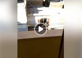 بالفيديو| رجل يعذب كلبا بشرفة منزله.. وجاره: معرفتش أوقفه وبلغت الشرطة