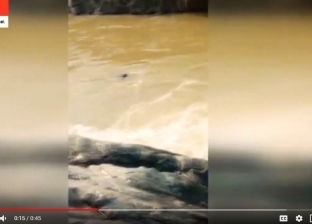 بالفيديو| هندي يغرق بأحد الشلالات.. لم يتدخل أحد لإنقاذه