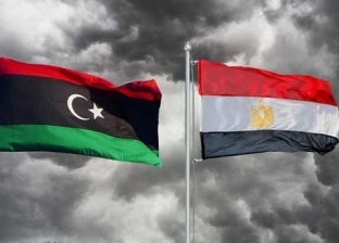 دبلوماسي سابق: ليبيا تستهدف استنساخ تجربتنا التنموية المُلهمة