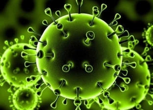عاجل.. ارتفاع عدد الإصابات بفيروس كورونا في جنوب إفريقيا إلى 402 حالة