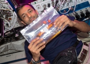زراعة طماطم داخل محطة الفضاء الدولية.. تجربة جديدة لتأمين الغذاء
