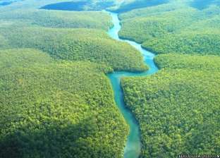 هل تكون غابات الأمازون سببا في ظهور فيروس قاتل في المستقبل؟