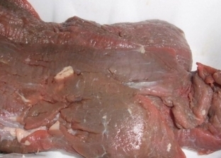 الزراعة تُكشف حقيقة حظر استيراد اللحوم الهندية بسبب فيروس «نيباه»